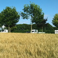 IMG 20210810 174530407