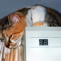 1991-1