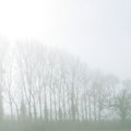 IMG 0544