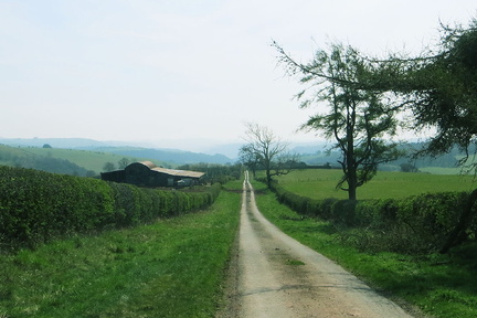 IMG 0605
