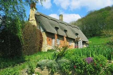 IMG 0661