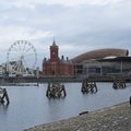 IMG 0752