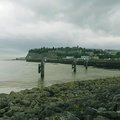 IMG 0756
