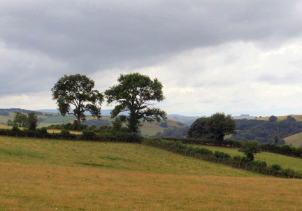 IMG 3107