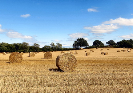 IMG 3165