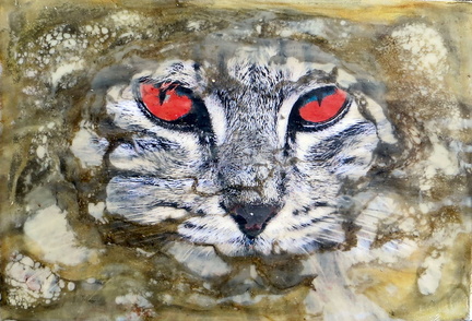 PE08 Cat's Eyes