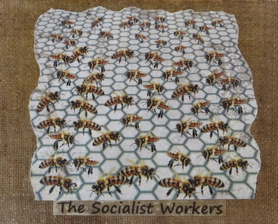 PE18 Bees on Comb