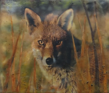 PE22 The Vixen