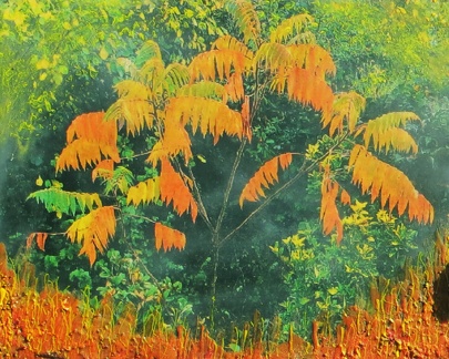PE23 2025Oct25 - Autumnal Colours