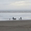 IMG 3483
