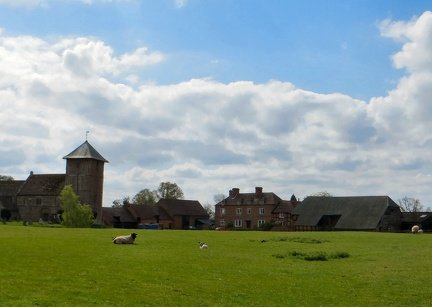 IMG 0063