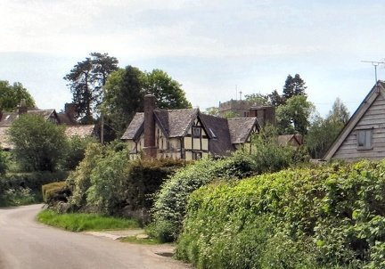 IMG 0008