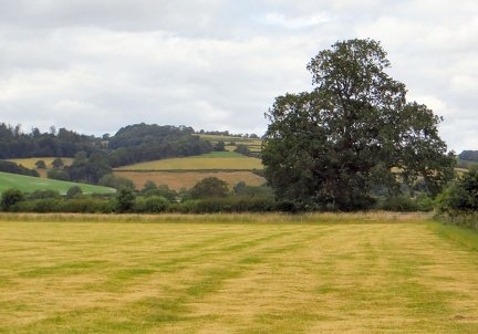 IMG 0077