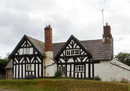 IMG 0076