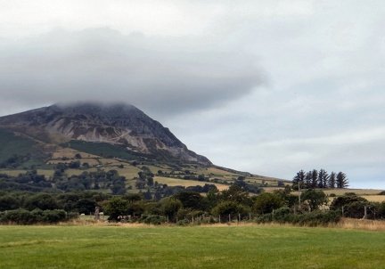 IMG 0038