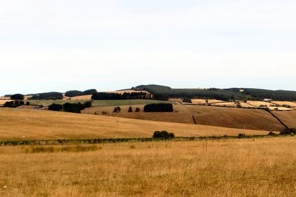 IMG 0039