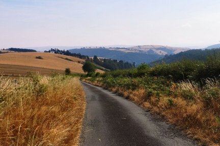 IMG 0048